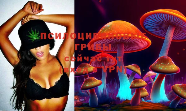 стафф Армянск