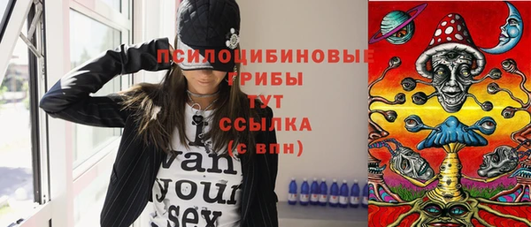 мет Аркадак