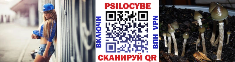 Псилоцибиновые грибы мицелий  Бавлы 